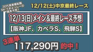 12/13(日)競馬予想！ メイン＆最終レース　阪神JF ジュベナイルフィリーズ　カペラS  飛騨S 赤穂特別　名古屋日刊スポーツ杯　2頭軸予想　軸馬　30代　異業種転職　サラリーマン　WIN5