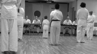 GoJu Ryu Kid