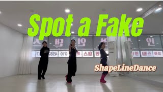 Spot aFake LineDance|스팟어페이크라인댄스