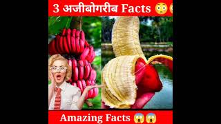 Amazing facts||Top 3 Facts| 😳😳 #shorts #youtubeshorts #viral @souravjoshivlogs7028