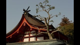 宗像大社\u0026宮地嶽神社(福岡県)