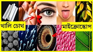 খালি চোখে দেখা যায় না এমন ৫টি জিনিস।🤫অসাধারণ। 5 Things You Can Only See Under Microscope.Mrminifact