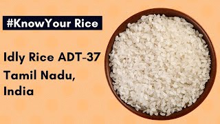 Know Your Rice | Idly Rice ADT-37