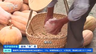 [经济信息联播]金秋“丰”景 安徽黄山：呈坎古村晒秋美如画|CCTV财经