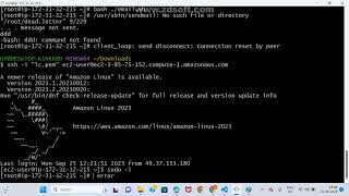 Shell Script 5