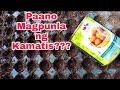 Paano Mag-Punla ng Kamatis?