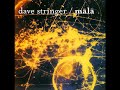 dave stringer govinda jaya jaya