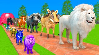 Paint Animals Duck,Tiger,Cow,Lion,Buffalo,Gorilla,Elephant,Dinosaur Fountain Crossing Animal Game!