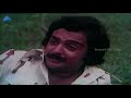 spb s janaki songs kaveriye kaveriye song ilaiyaraja hits archanai pookal tamil movie