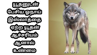 ஆடு மேய்த்த யூதனுடன் பேசிய ஓநாய் திகைத்து நின்ற யூதன்||ஆச்சரியம் ஆனால் உண்மை ||#நபிமொழி|#BHI CENTER