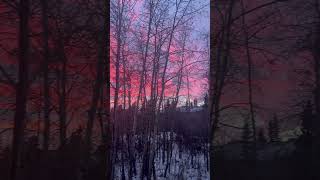 Sunrise, waking up to this! #viral #calgary#sunrise#youtubeshorts#morning #calgarylife