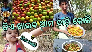 ❤️କିଏ ଖାଇବ ଆସ ଆମ ବାଡ଼ି କେଳି #dailyvlog #odiavlog #viralvideo #nanditalifestyle #likesharesubscribe