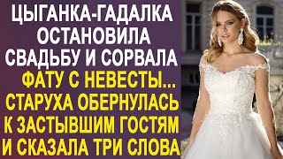 Цыганка-гадалка остановила свадьбу и сорвала фату с невесты. Затем она обернулась к гостям и...