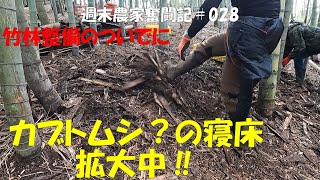 週末農家奮闘記028　カブトムシ？の寝床を作ろう‼竹林整備のついでに　竹林のお片付けシーズン2パート⑥