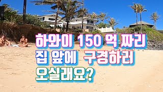 Hawaii Vlog # 집 근처  바다에 놀러 가보았습니다. #국제가족#AMWF