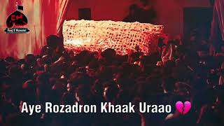 21 ramzan | Aye Rozadaron Khaank Uraao | shahadat e imam ali a.s | #nohastatus #21ramazan #viral