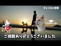 シニアチワワのまったりおさんぽ！いつまでも元気でいてほしいな【老犬チワワの日常】