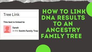 How to link your Ancestry DNA test to your family tree