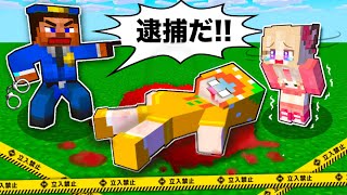 『犯人は私じゃない❗️💦』マイクラで本物の泥棒を探し出した結果！？#ぴこみんず 〔セキュリティ逆脱獄マインクラフト〕