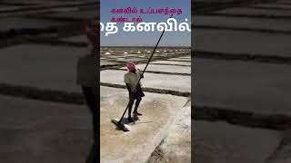 கனவில் உப்பளத்தை கண்டால் என்ன பலன் விருந்து கிடைக்கும் kanavu palangal tamil