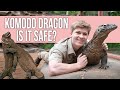 Is it Safe to Keep Komodo Dragon as Pets