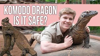 Is it Safe to Keep Komodo Dragon as Pets