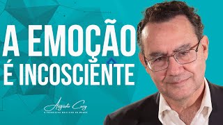 Como Entender a Emoção? | Momentos Cury