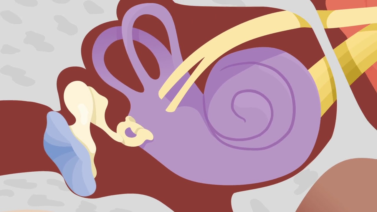 How The Ears Work Nemours Kidshealth Youtube