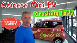 TESLA being CRUSHED by China's Mini EV