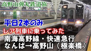 【レア列車に乗ってみた】平日2本！南海高野線・快速急行なんば→高野山（極楽橋）【高野山弾丸鉄道旅】