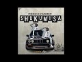 Peekaymusic - Shukumisa (feat. Fles)