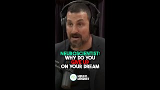Neuroscientist: Why Do You Give Up On Your Dreams | Andrew Huberman #joerogan #shorts