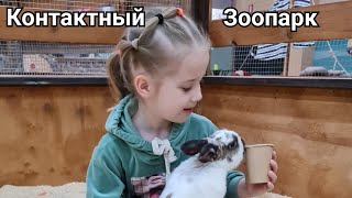 Контактный зоопарк в Одессе