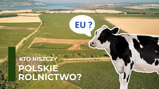 Raport Kubickiego 81.Kto niszczy polskie rolnictwo?