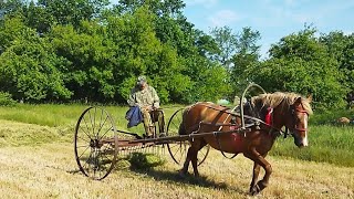 ЛОШАДИ В РАБОТЕ/ НАЧАЛАСЬ ЗАГОТОВКА СЕНА