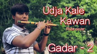 Udd Jaa Kaale Kaava | Flute Cover | Instrumental | Gadar 2