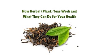How Herbal Teas Work and What They Can Do For Your Health