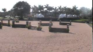 Knightwood Horses - Magic Show - WEF 2014 - 3'3\