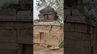 😢உயிர் பெறுமா??? #சிவன் #சிவன்கோவில் #templevlogs #kovil #templehistory #temple #sivan #shivan #yt