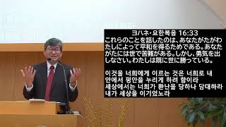 2024年12月22日「わたしたちのために救い主がお生まれになった」ルカ2:10-12　主日礼拝　在日大韓基督教会　横浜教会