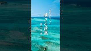 【一生忘れたくない刺さる言葉】著名人7選 #名言 #名言集 #芸能人 #響く言葉