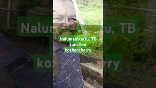 Nalumanikattu, TB Junction kozhencherry #song #trending #vtubervlog #viralvideo#nature #tiktok#short