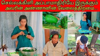 பச்சைமிளகாய் இப்படி செய்து சாப்பிட்டு பாருங்கள்/jolly vlog/jaffna vlog 🌶🌶🌶