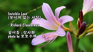 Invisible Love (보이지 않는 사랑)/Richard Clayderman \u0026 photo by 모모수계