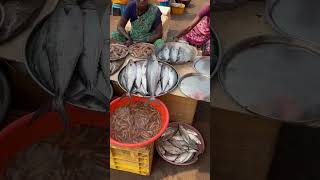 भरडखोल मासळी बाजार |Bharadkhol Fish Market Diveagar #fishmarket #surmai #prawns #crab