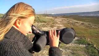 trailer e-klas Ecologie: Waddenzee