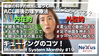 ACL再建術後の理学療法（リハビリ）キューイングのコツ