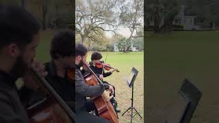 OUTDOOR WEDDING CEREMONY - MARVELOUS STRINGS #shorts