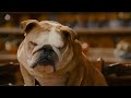Lasagna Dance Scene GARFIELD 2 (2006) Movie Clip