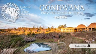 Luxury Safari Lodge near Cape Town a 4hr drive | 5 Star Gondwana Private Game Reserve | BIG5